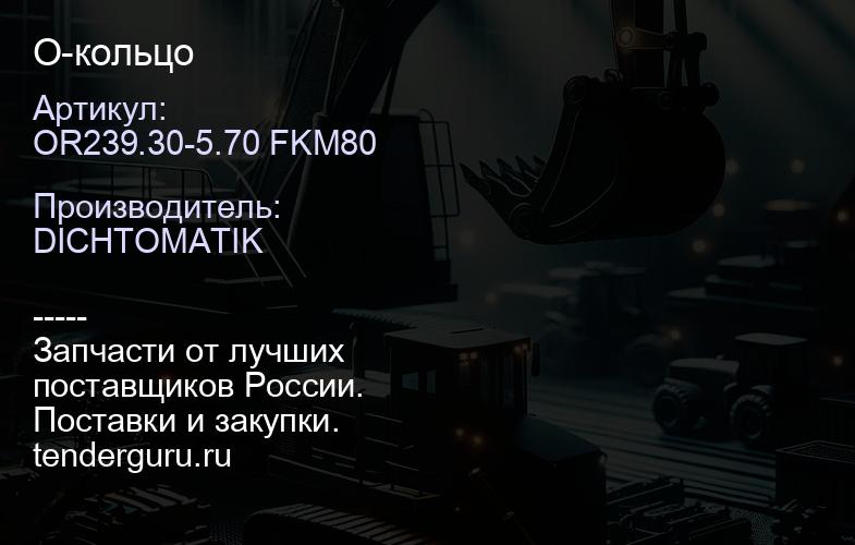 OR239.30-5.70 FKM80 О-кольцо | купить запчасти